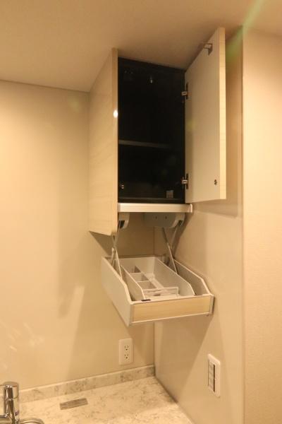 レーベン京都河原町のキッチン画像