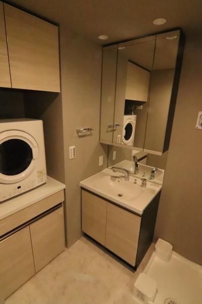 レーベン京都河原町の洗面台・洗面所画像