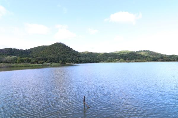 京都市右京区嵯峨広沢南野町の新築一戸建のレジャー・観光画像