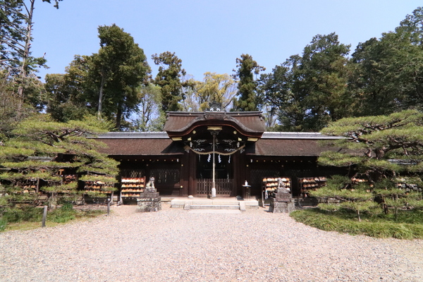 京都市右京区嵯峨野六反田町の中古一戸建のレジャー・観光画像