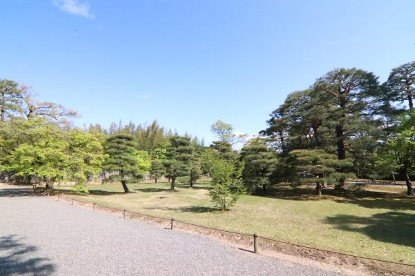 ネバーランド西京極のレジャー・観光画像