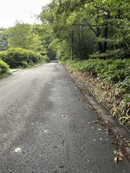 那須郡那須町 湯本 土地 480万