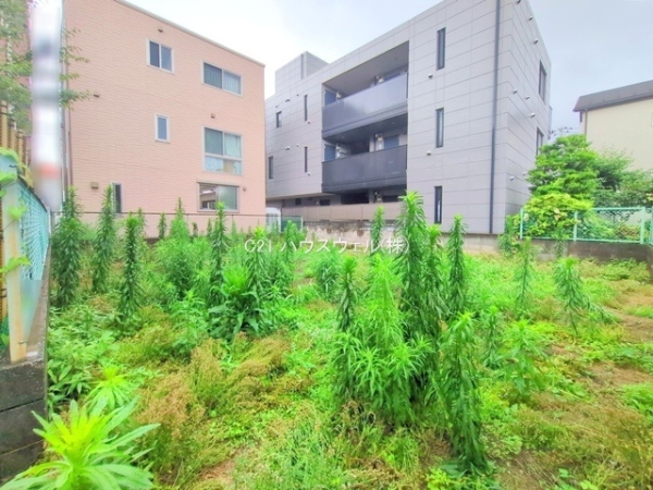 さいたま市南区南本町2丁目 6,980万